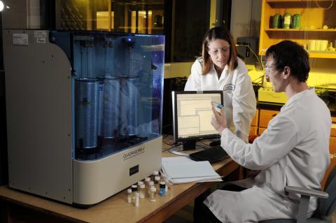 RAPID Krista lab 4